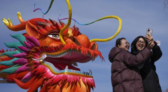 in China the year of baby dragons