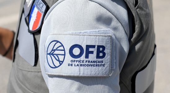 the OFB a contested gendarme and often sacrificed – LExpress