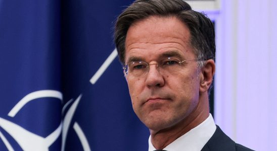 the skillful Dutch technocrat expected to head NATO – LExpress