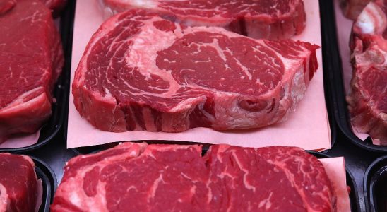 the study which further encourages us to reduce our meat