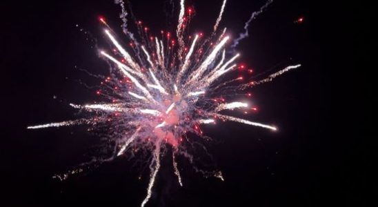 81 Utrecht residents argue for a fireworks ban on behalf