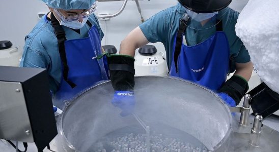 Against the birth crisis Seoul subsidizes egg freezing