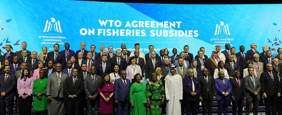 Agriculture fishing… The WTO still blocked is sinking into crisis