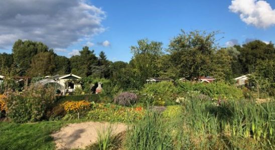 Allotment garden association fears for the future If we have