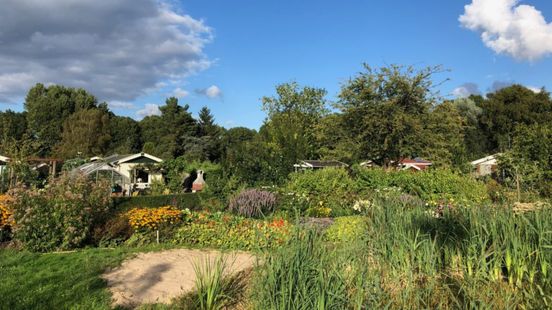 Allotment garden association fears for the future If we have