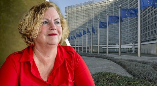 Amersfoort benefits mother goes to Brussels for EU help