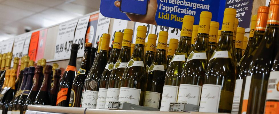 An expert tasted Lidl wines blind he loved these 6