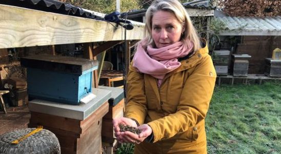 Bee mortality shocks beekeeper from Groenekan This problem is enormously