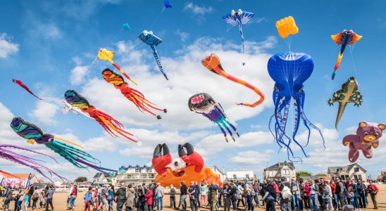 Chatelaillon Plage International Kite and Wind Festival