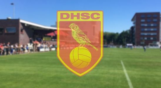 DHSC sponsor did not pay money for benefit evening Sneijder