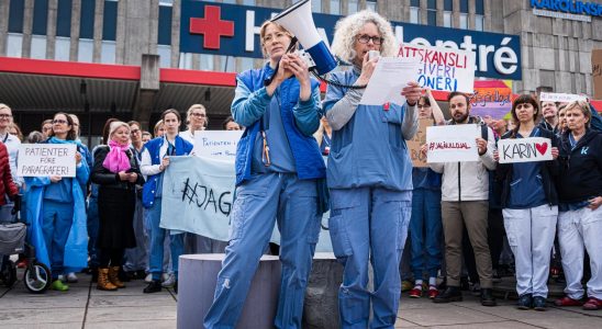 Demonstration in Huddinge after Karin Pettersson was fired