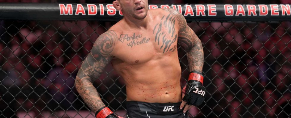 Dustin Poirier is linked to France and heres why