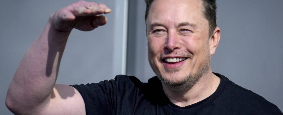 Elon Musk reveals who he will vote for in the