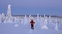 Finland is one of the few countries where the air