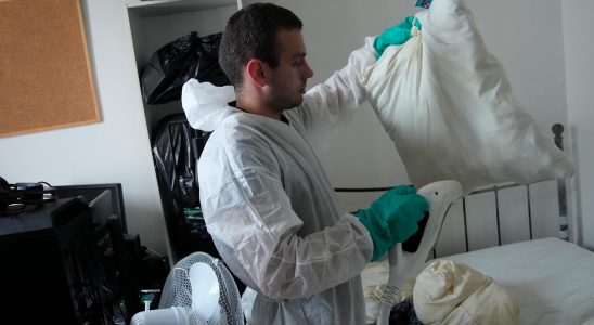 France Russia fueled bed bug panic