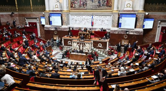 France Ukraine agreement who voted for Who voted against