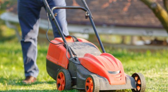 Here is the best time to mow the lawn for