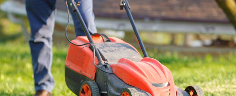 Here is the best time to mow the lawn for