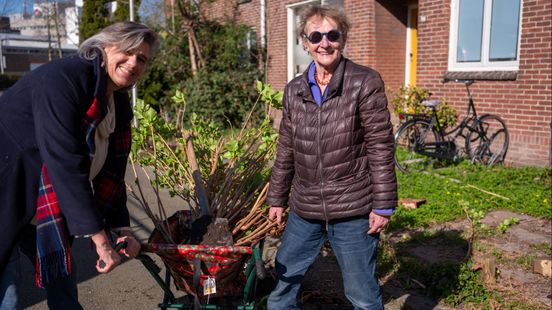 Highwaymen strike in Utrecht We remove all plants from the