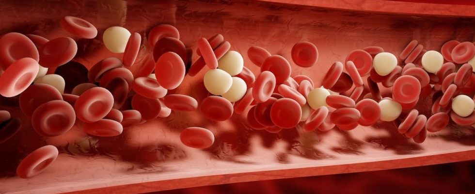 How gene therapy transformed the lives of sickle cell patients