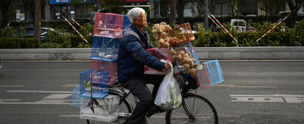 In China the postponement of the retirement age debated again