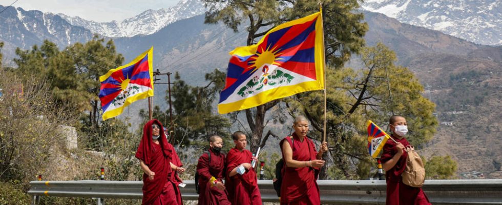 In India Tibetans in exile demonstrate for the 65th anniversary