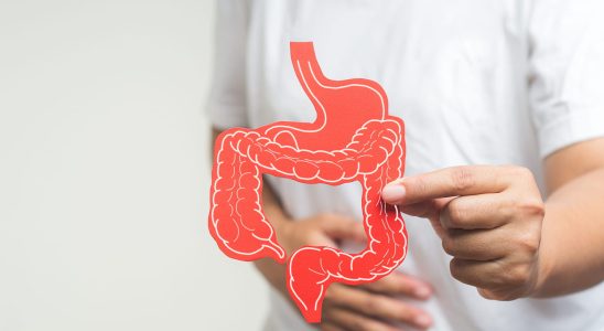 Intestinal purge benefits how to do it