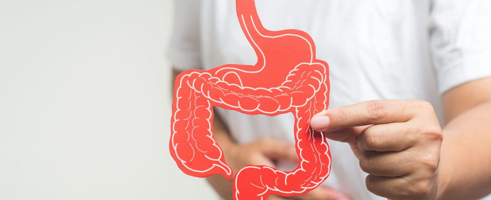 Intestinal purge benefits how to do it