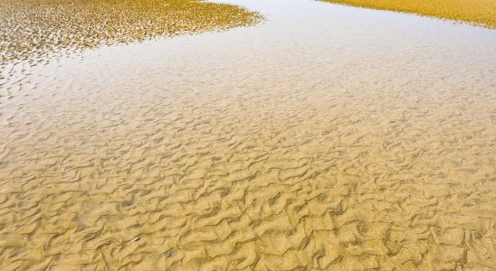 Le Touquet Paris Plage Beach