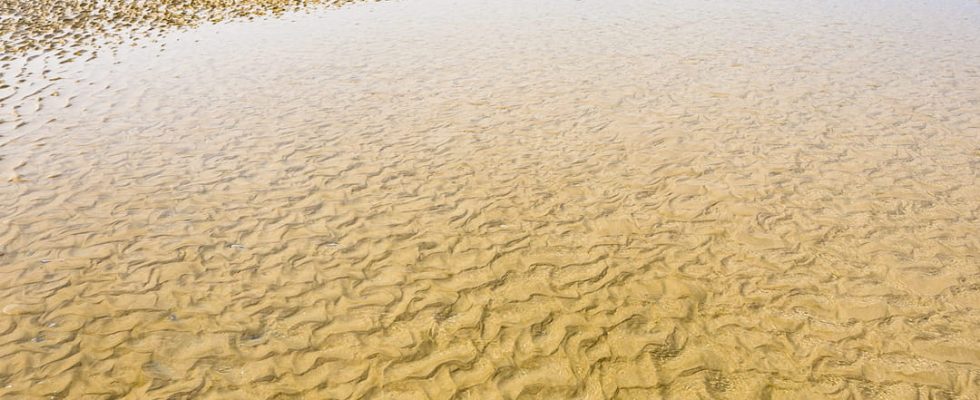 Le Touquet Paris Plage Beach