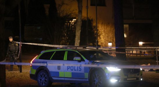 Man shot to death in southern Stockholm major police