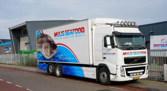 NVWA closes Bunschoten fish wholesaler due to poor hygiene