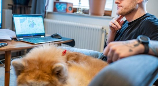 New wave of dangerous dog buns in Malmo