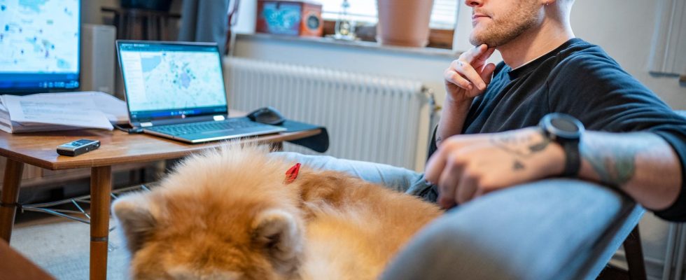 New wave of dangerous dog buns in Malmo