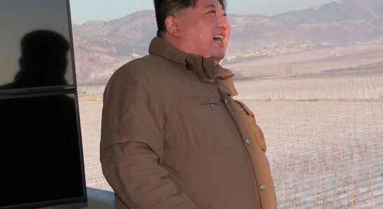 North Korea test fired ballistic robots