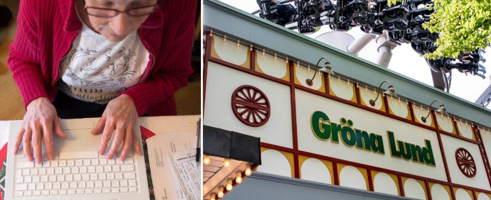 Pensioner Find your dream job at Grona Lund