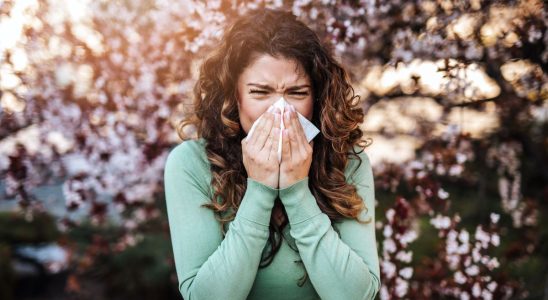 Pollen allergies France sees red with the arrival of spring