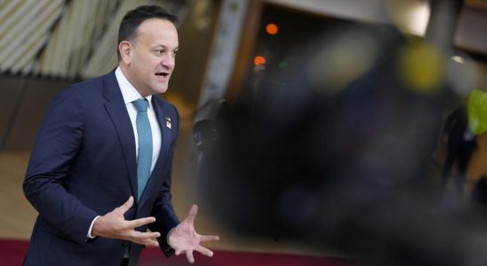 Prime Minister Leo Varadkar leaves his post