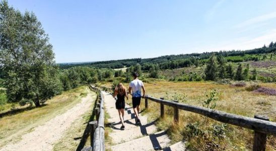 Province asks millions for ecological restoration of Heuvelrug and Beekdalen