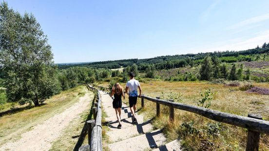 Province asks millions for ecological restoration of Heuvelrug and Beekdalen