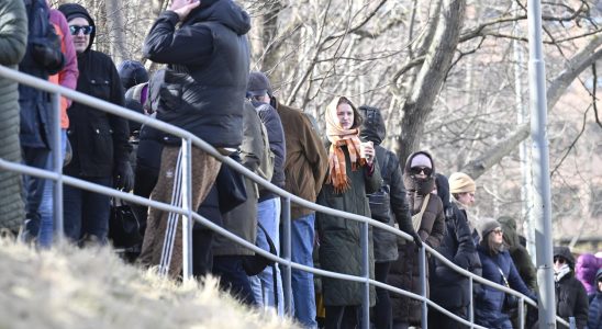 Queue outside the Russian embassy before the stroke of twelve