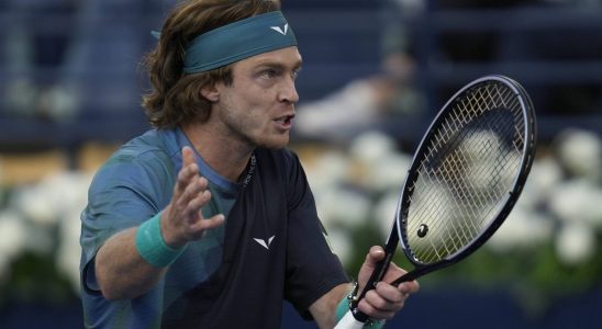 Rublev disqualified after insulting a judge in the middle of