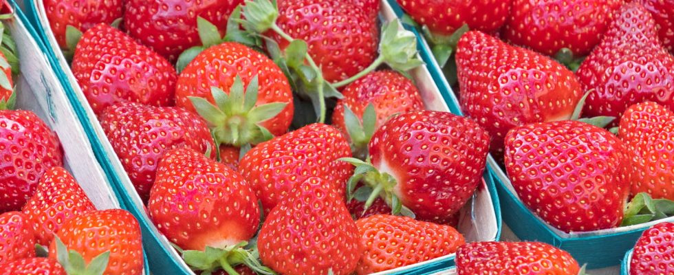 Strawberries are already back on the shelves should you buy