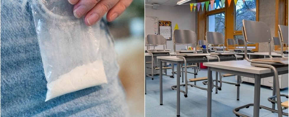 Teachers sold kilos of cocaine from school