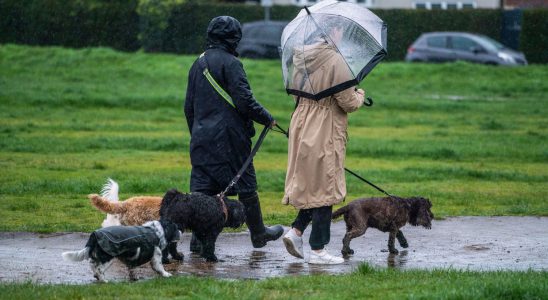 The rain will spoil the Easter weekend only a few