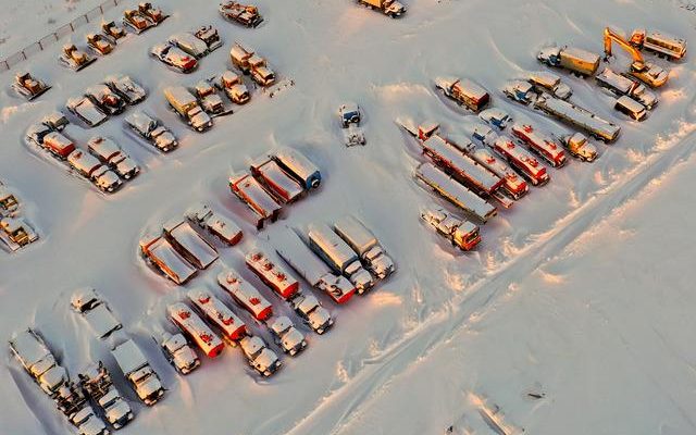 They are waiting abandoned to their fate under the snow