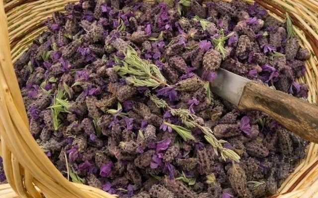 This herb saves you from cigarette addiction It comes to