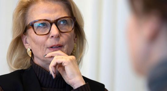 This is how Elisabeth Svantesson wants to end the financial