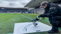 This is what the grass grown at the Olympic Stadium