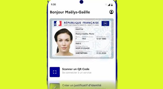 Yesterday and today the France Identity application displays an Oops